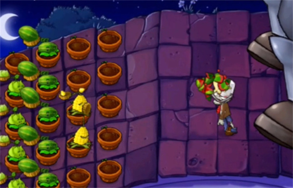 pvz梦版零阳光冷却(4)