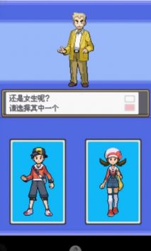 口袋妖怪魂银金手指代码最新版(2)