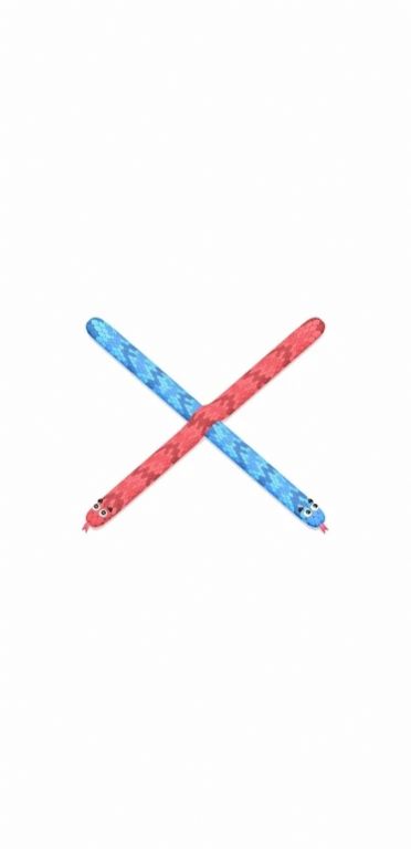 蛇蛇卷曲滚动游戏最新安卓版图2