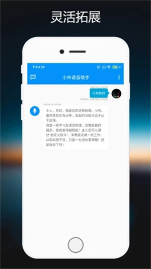 小布语音助手(4)