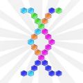 六角组合游戏最新版（Hex Combine） v1.0