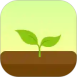 Forest专注森林最新安卓版
