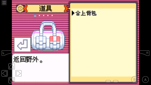 口袋妖怪传说绿宝石图3