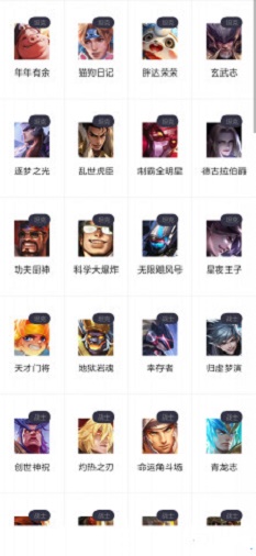 王者皮肤控(2)