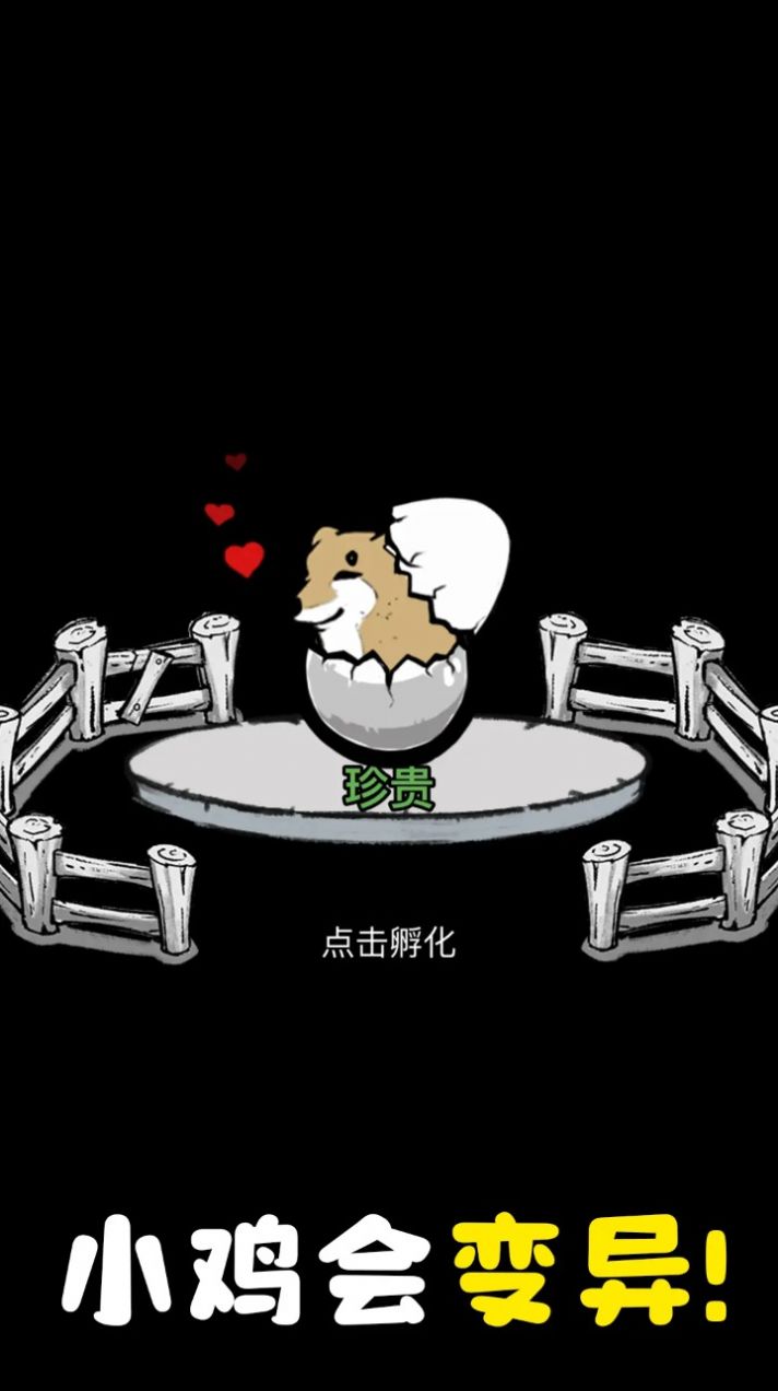 养鸡时长两年半正式版图3