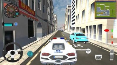 豪华警车模拟器安卓版(1)