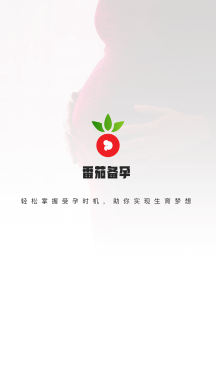 番茄备孕图1