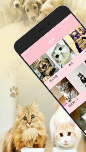人猫交流器免费版图1