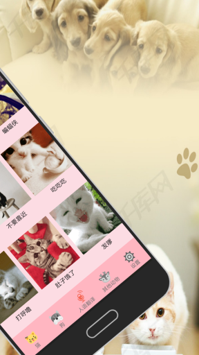 人猫交流器免费版图2