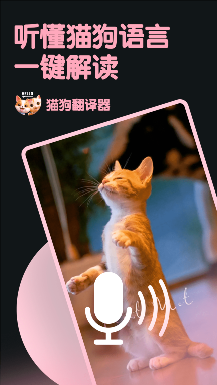 旺旺猫狗翻译器图1