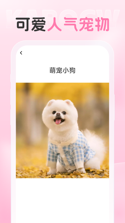 爱炫相机图3