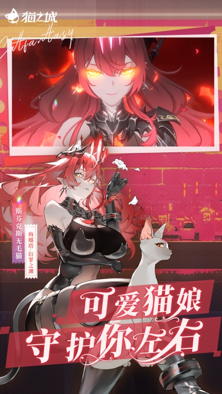 猫之城图2