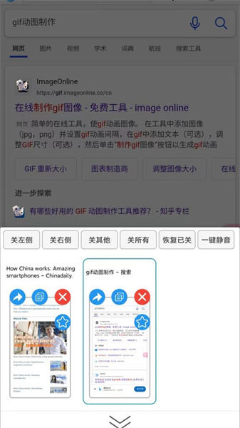 大海浏览器图2