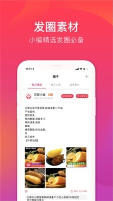 花蒜图1