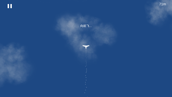 Sky Bird天之鸟图2