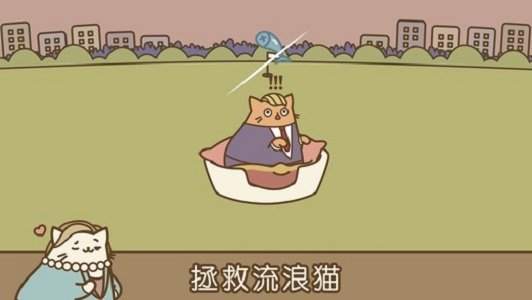 音乐猫咪图1