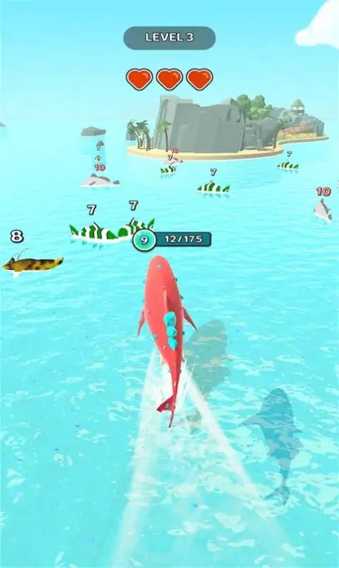 鲨鱼进化记最新版图2