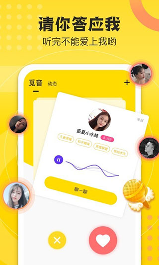 不鸽图2