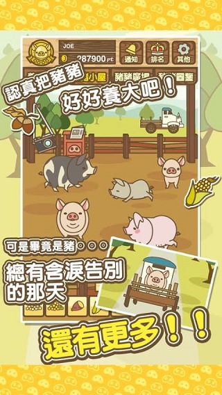 养猪场MIX2025最新版图5