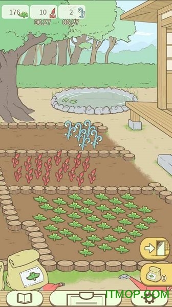 暖洋洋之森的药师