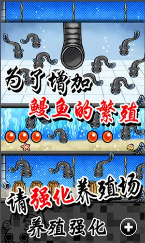 鳗鱼养殖场图1