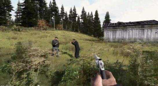 Dayz手机版图2