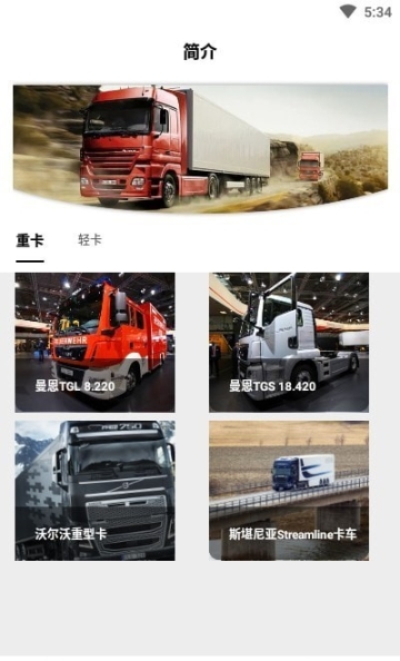 欧洲卡车秀图2