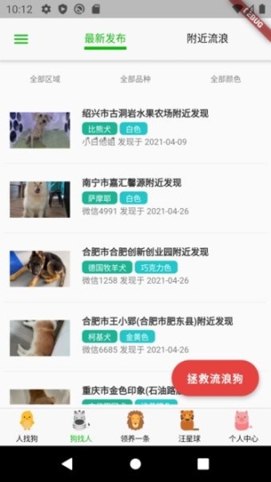 寻狗图1