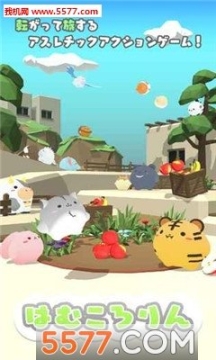Hamcorollin(仓鼠团团)图4