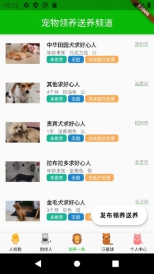 寻狗图2
