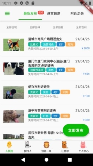 寻狗图3