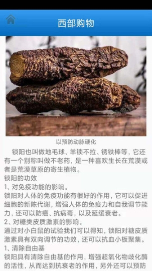 西部特产商城图2