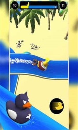 水道鸭赛图1