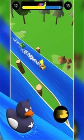 水道鸭赛图4
