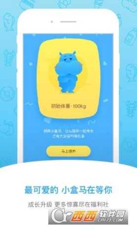 盒马图1