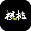 核桃动力团