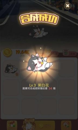 淘猫猫图1