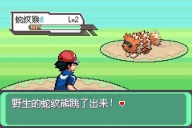 口袋妖怪究极绿宝石3图2