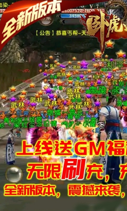 卧虎藏龙官方版图1