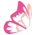 花蝶 V1.6