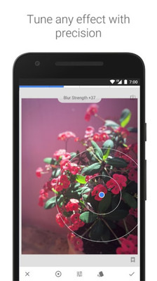 snapseed官方版正版免费版图2