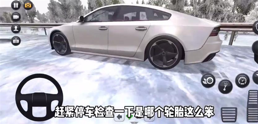 终极卡车模拟器破解版图1