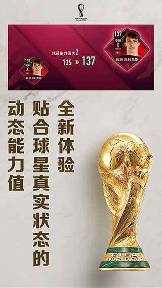 FIFA足球世界杯2025图1
