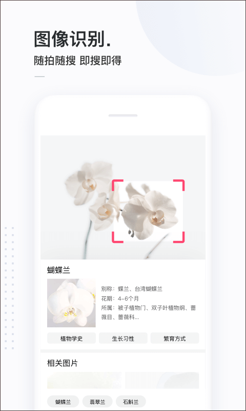 百度简单搜索(3)