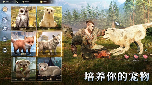 Vikingard最新版(2)