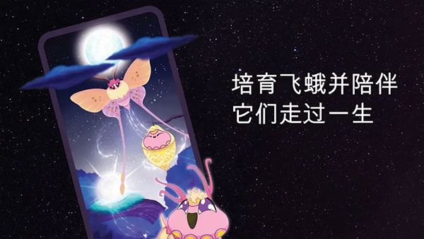 彩翼之星夜图1