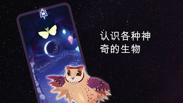 彩翼之星夜图3