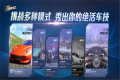 真实公路汽车2手机版图1