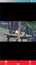 酷看影视最新版图2