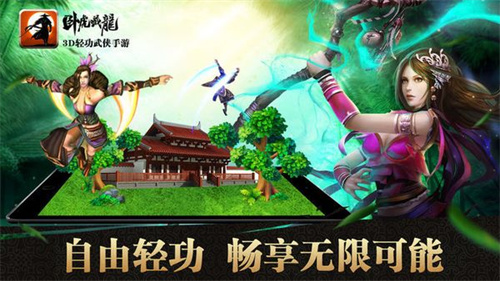 卧虎藏龙满级万抽版(5)